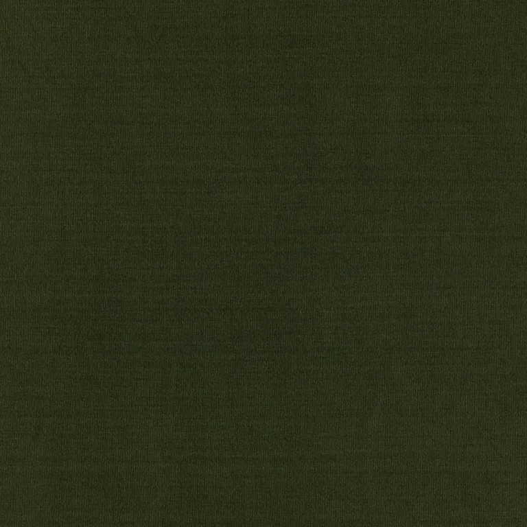 Schumacher 63911 Masaccio Taffeta Vert fabric swatch