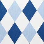 Schumacher 177800 Maximus Blues fabric swatch