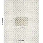 Schumacher 84391 Meadow Button Hand Embroidery Neutral fabric swatch