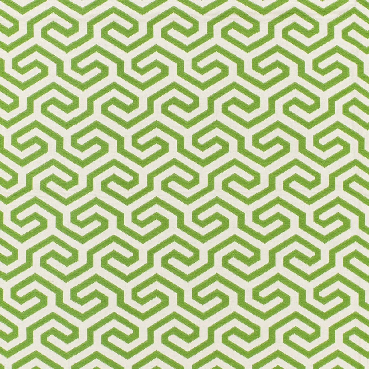 Schumacher 66883 Ming Fret Grass fabric swatch