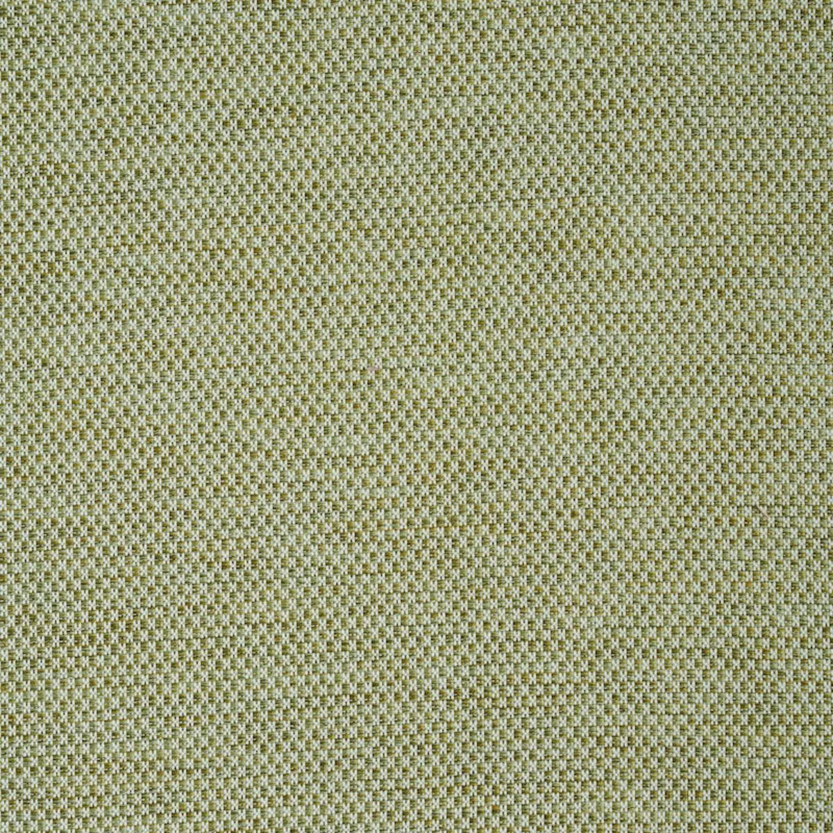 Schumacher 78933 Momo Hand Woven Texture Fern fabric swatch