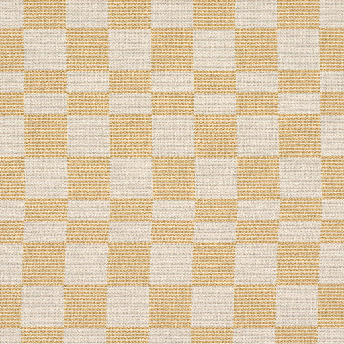 Schumacher 84282 Morro Indoor/Outdoor Maize fabric swatch