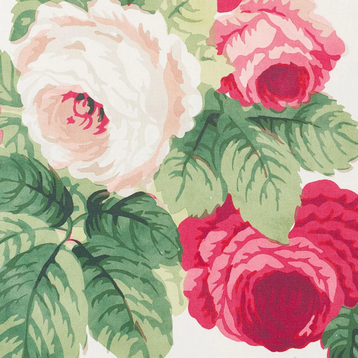 Schumacher 177200 Nancy Floral Rose fabric swatch