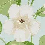 Schumacher 179491 Nasturtium Sky fabric swatch