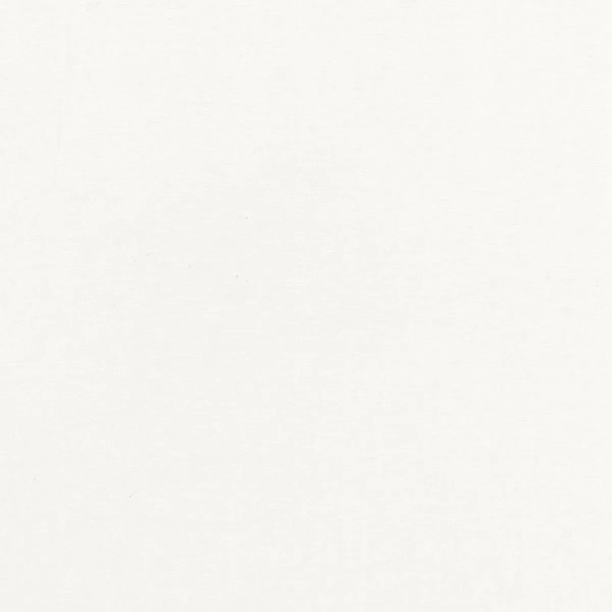 Schumacher 67770 Nicola Sheer Ivory fabric swatch