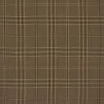 Schumacher 80304 Nils Plaid Linen Lichen fabric swatch