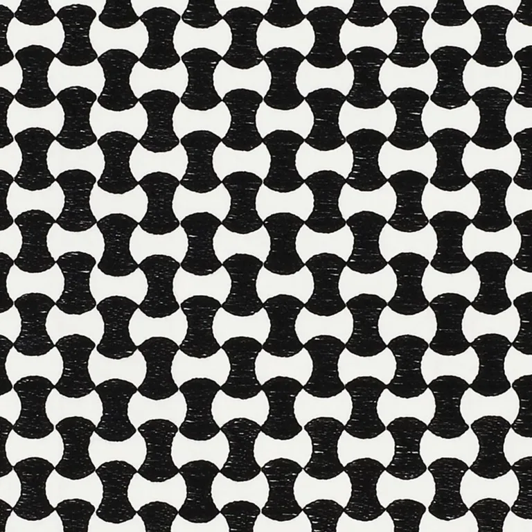 Schumacher 70372 Nolita Embroidery Black fabric swatch