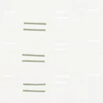 Schumacher 74003 Oaxaca Hand Block Print Grass On White fabric swatch