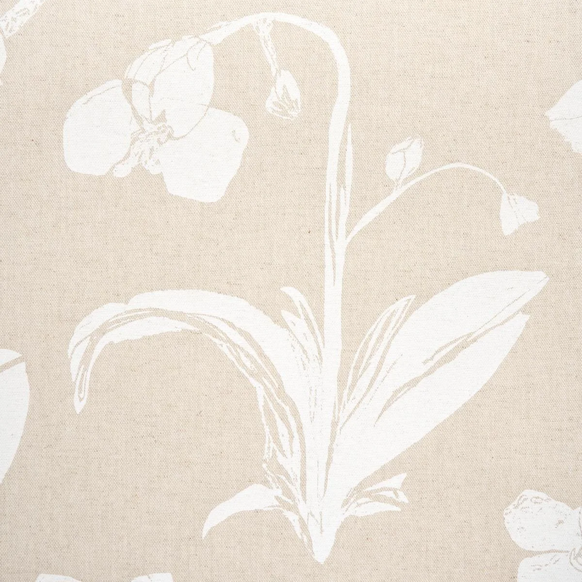 Schumacher 180511 Orchids Have Dreams Light Neutral fabric swatch