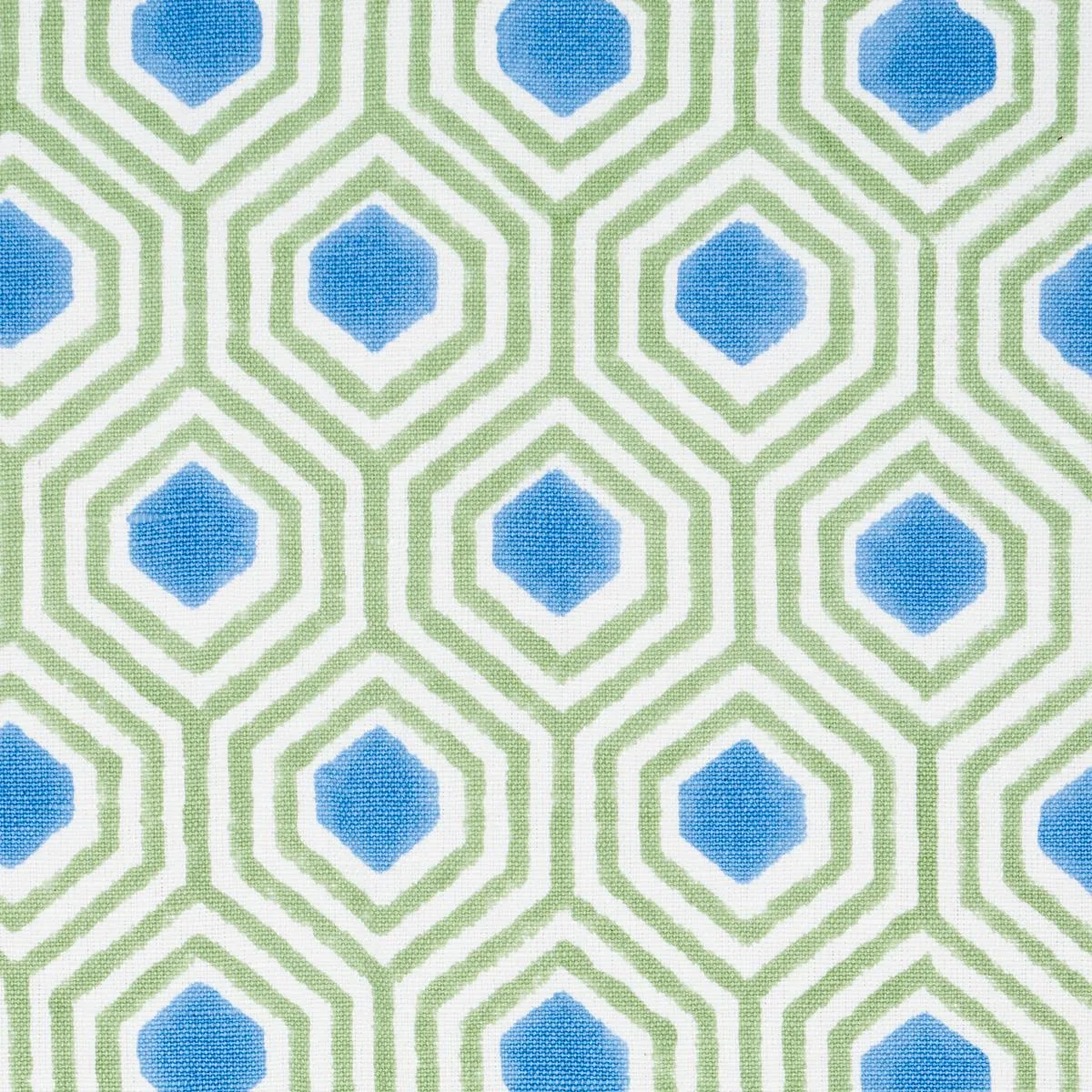 Schumacher 180371 Otis Hand Print Green & Blue fabric swatch