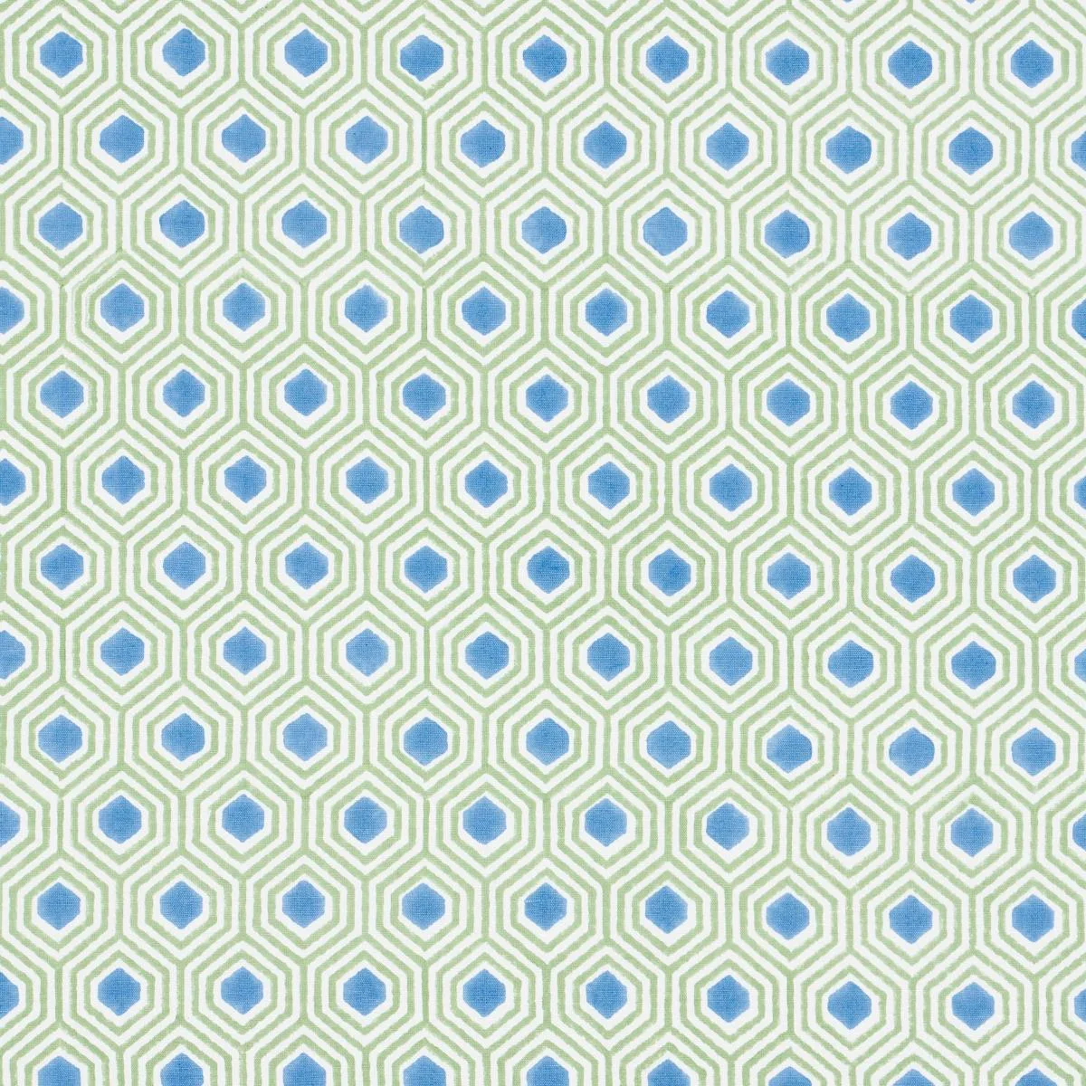 Schumacher 180371 Otis Hand Print Green & Blue fabric swatch