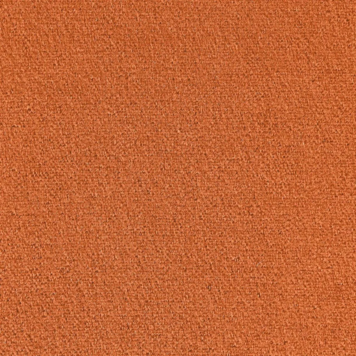 Schumacher 64910 Palermo Mohair Velvet Butterscotch fabric swatch