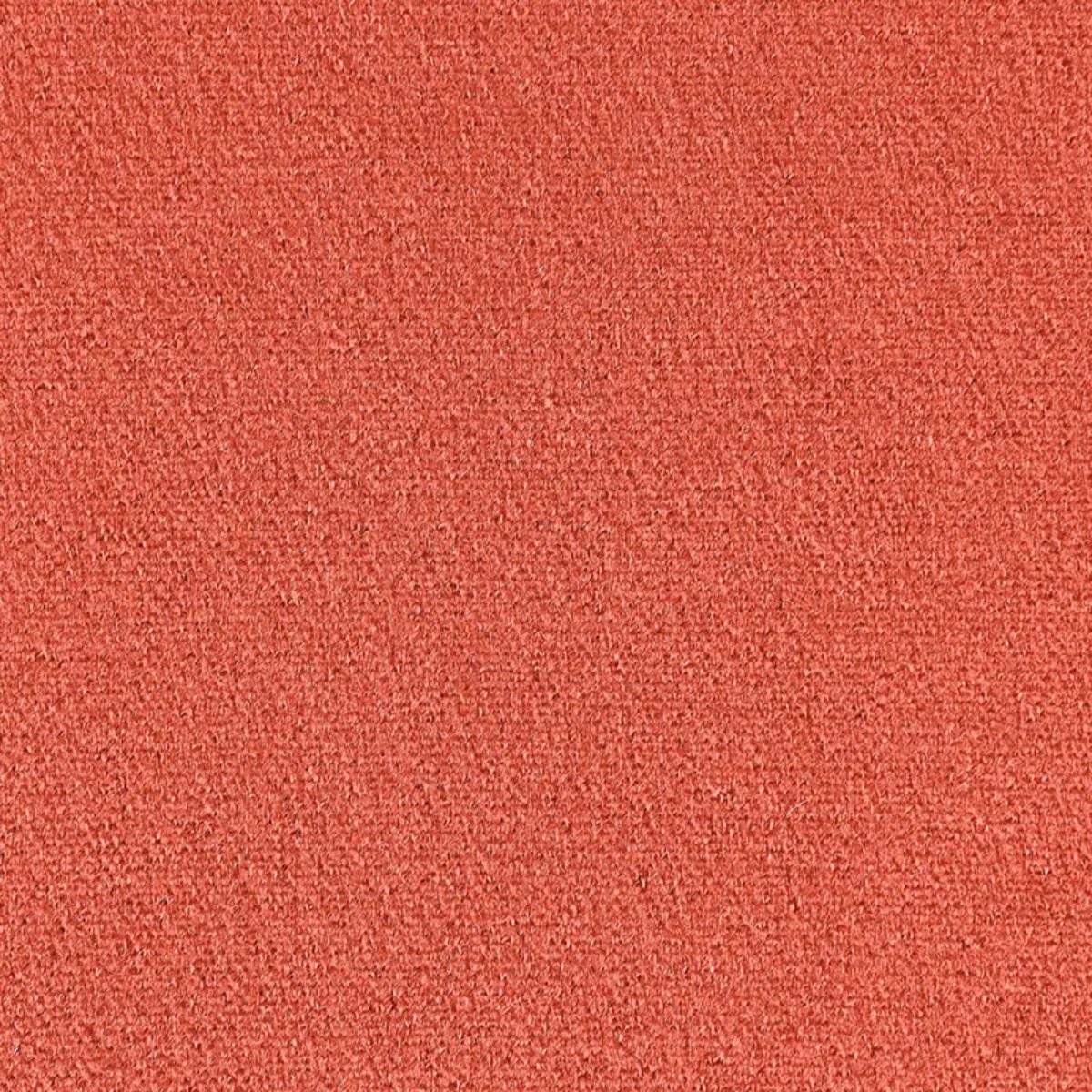 Schumacher 64917 Palermo Mohair Velvet Cameo fabric swatch