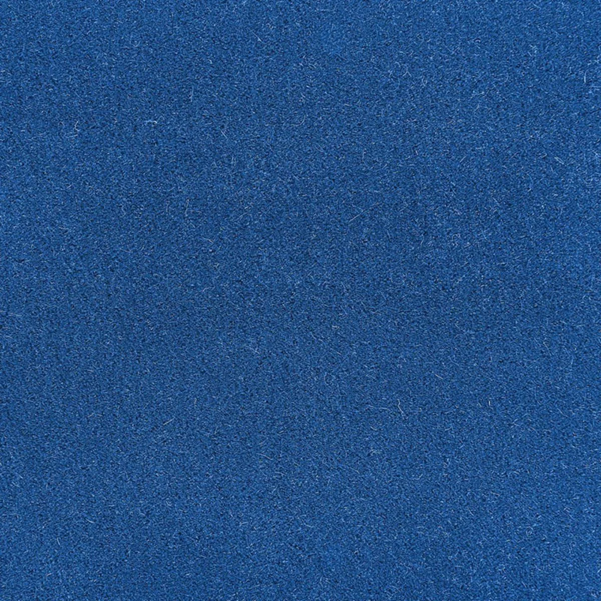 Schumacher 64927 Palermo Mohair Velvet Cobalt Blue fabric swatch