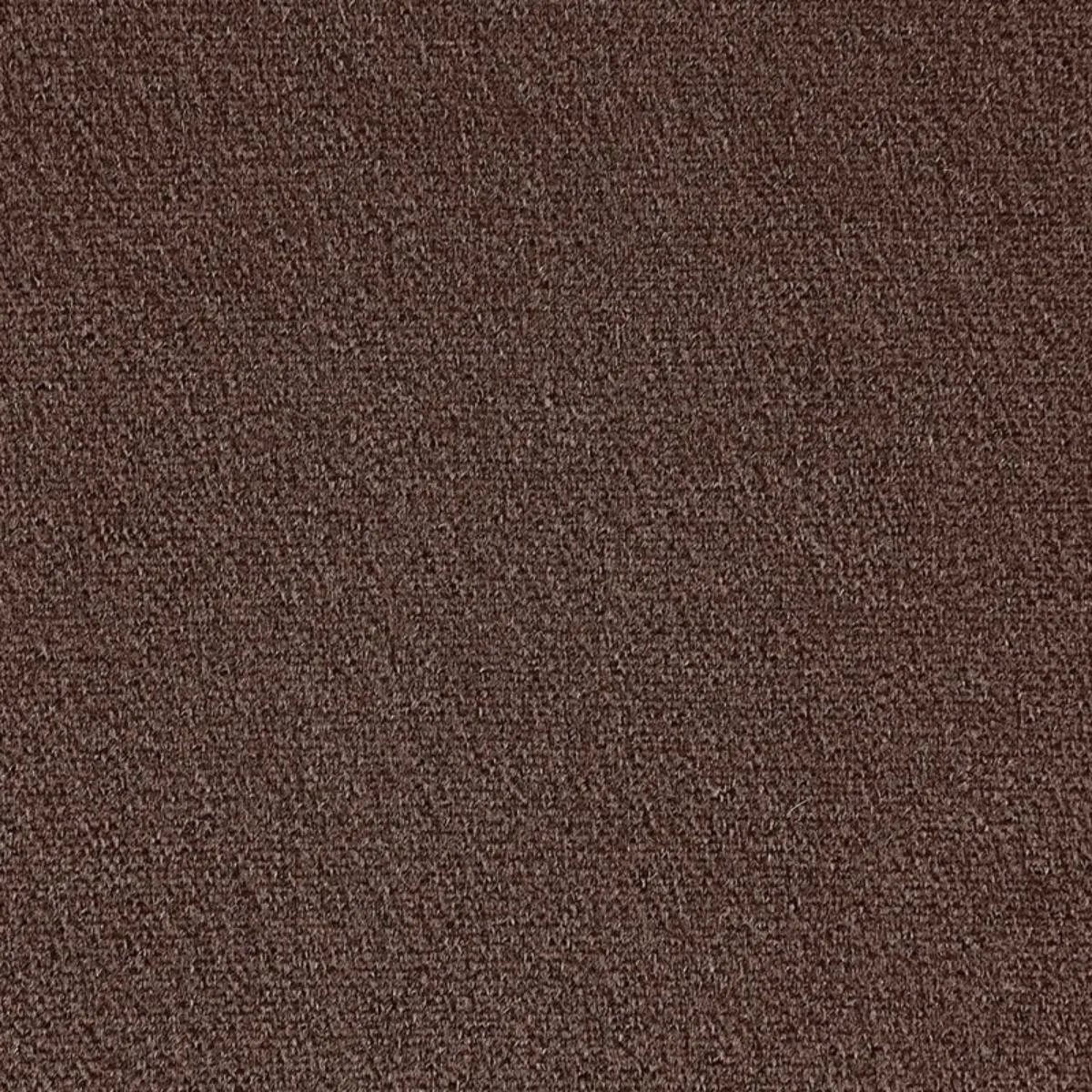 Schumacher 64912 Palermo Mohair Velvet Espresso fabric swatch