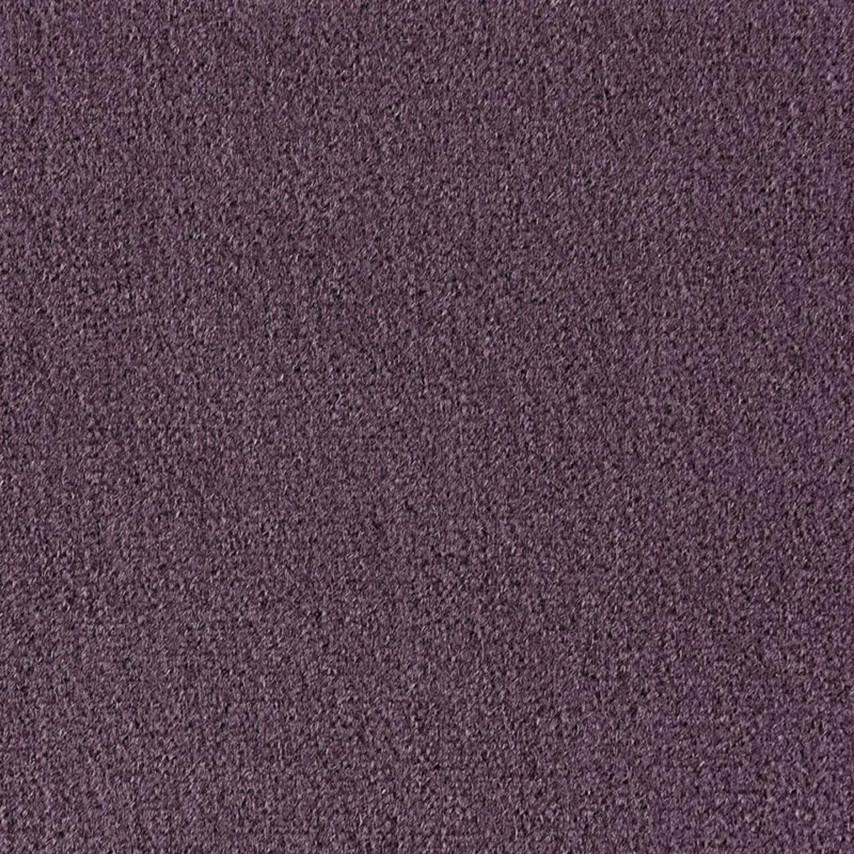Schumacher 64900 Palermo Mohair Velvet Lavender fabric swatch
