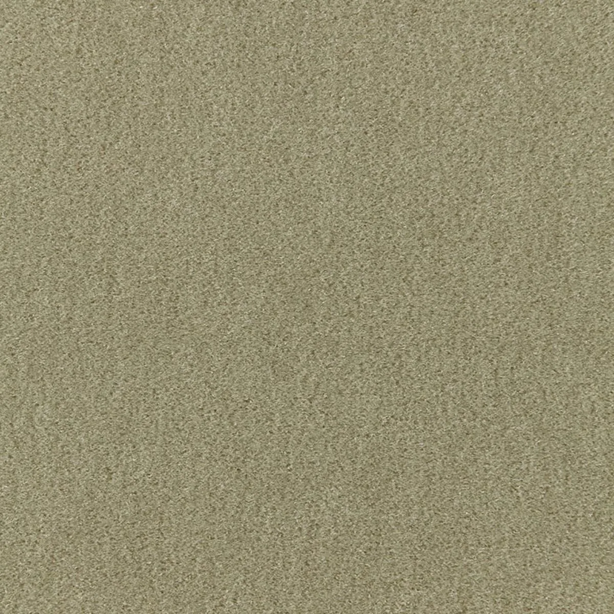 Schumacher 64931 Palermo Mohair Velvet Lichen fabric swatch