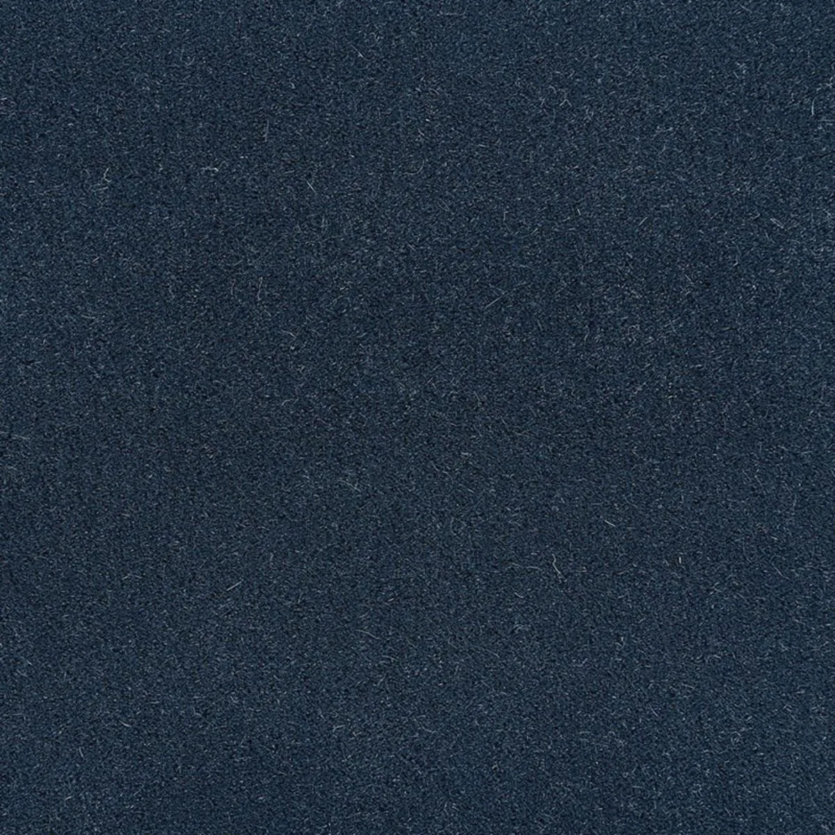 Schumacher 64929 Palermo Mohair Velvet Midnight fabric swatch