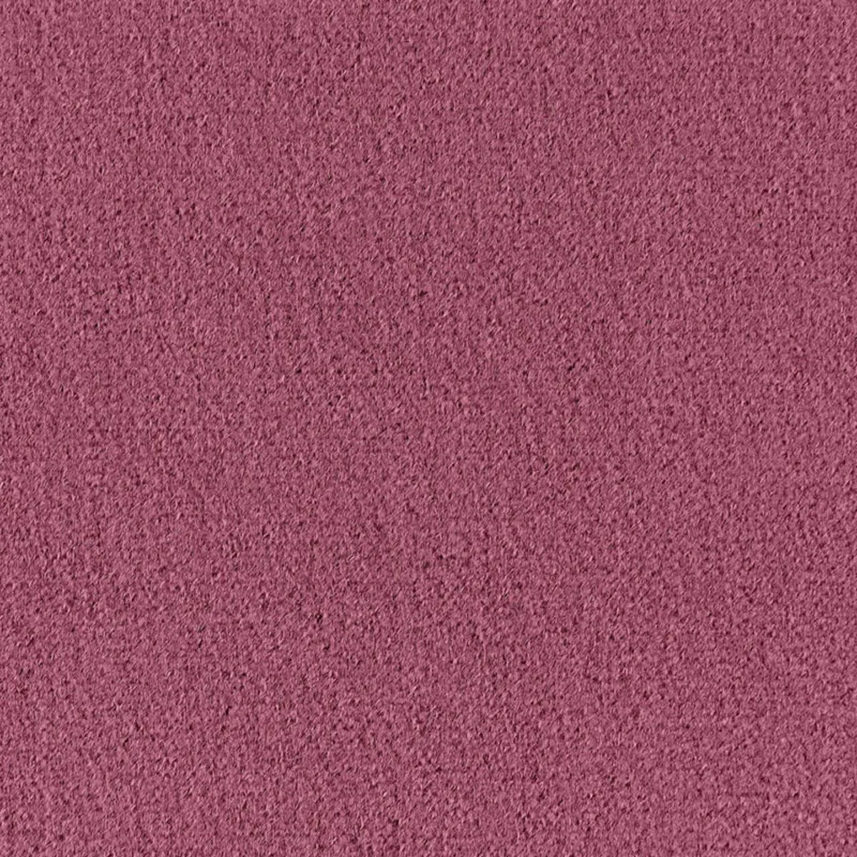 Schumacher 64902 Palermo Mohair Velvet Mulberry fabric swatch