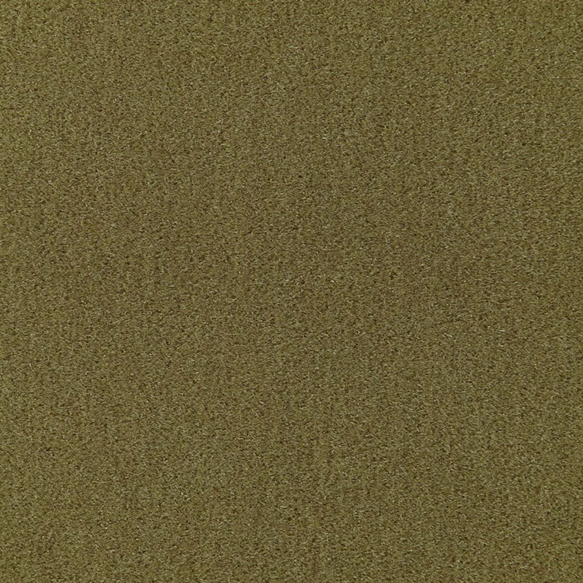Schumacher 64938 Palermo Mohair Velvet Olive fabric swatch