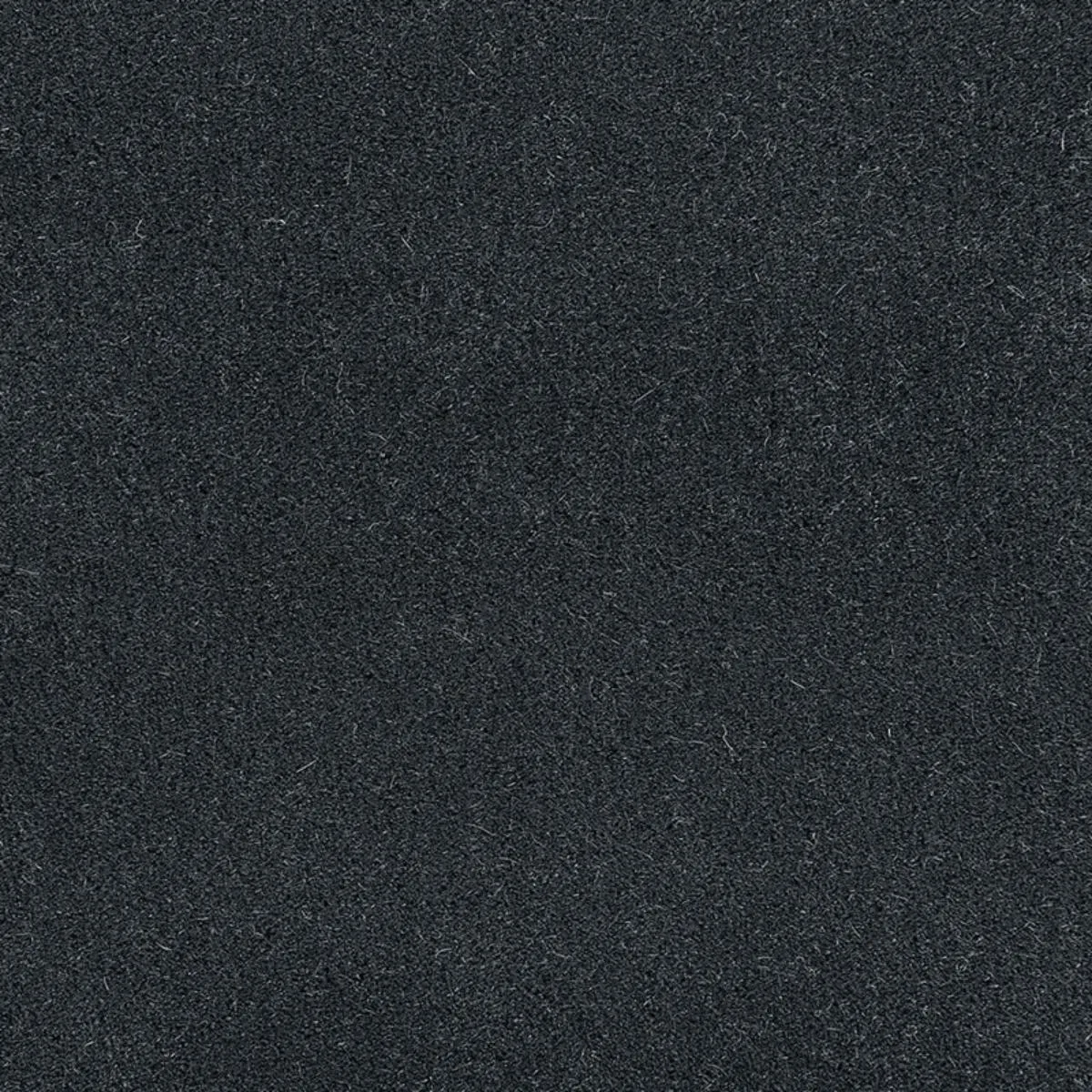Schumacher 64942 Palermo Mohair Velvet Petrol fabric swatch