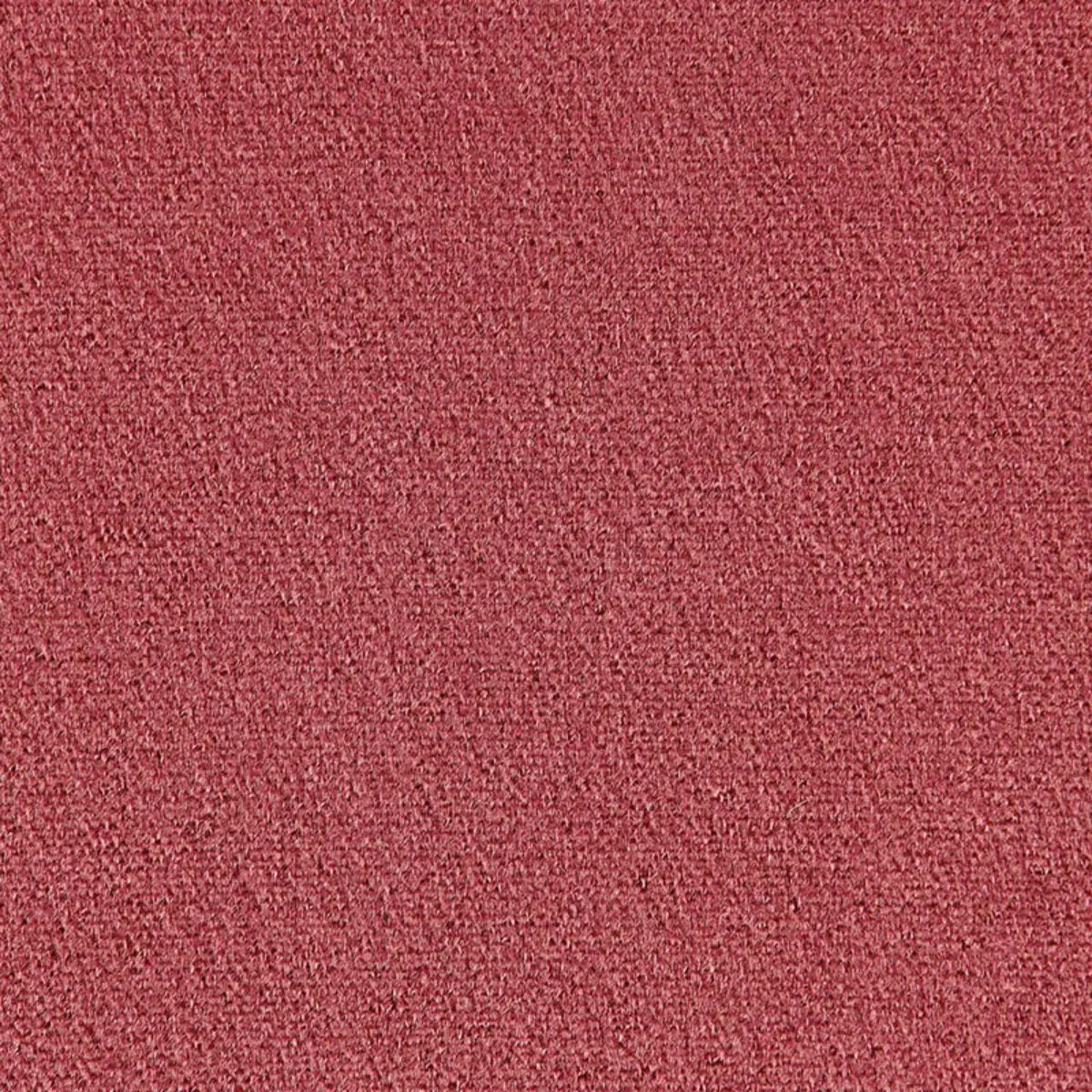 Schumacher 64915 Palermo Mohair Velvet Rose fabric swatch