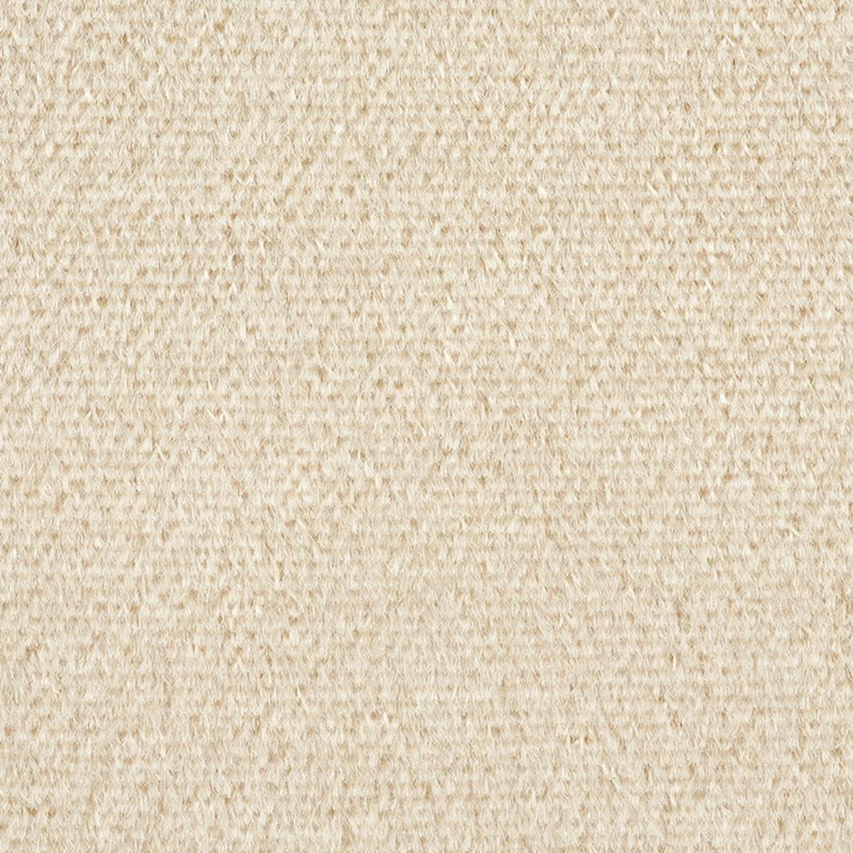 Schumacher 64940 Palermo Mohair Velvet Sesame fabric swatch