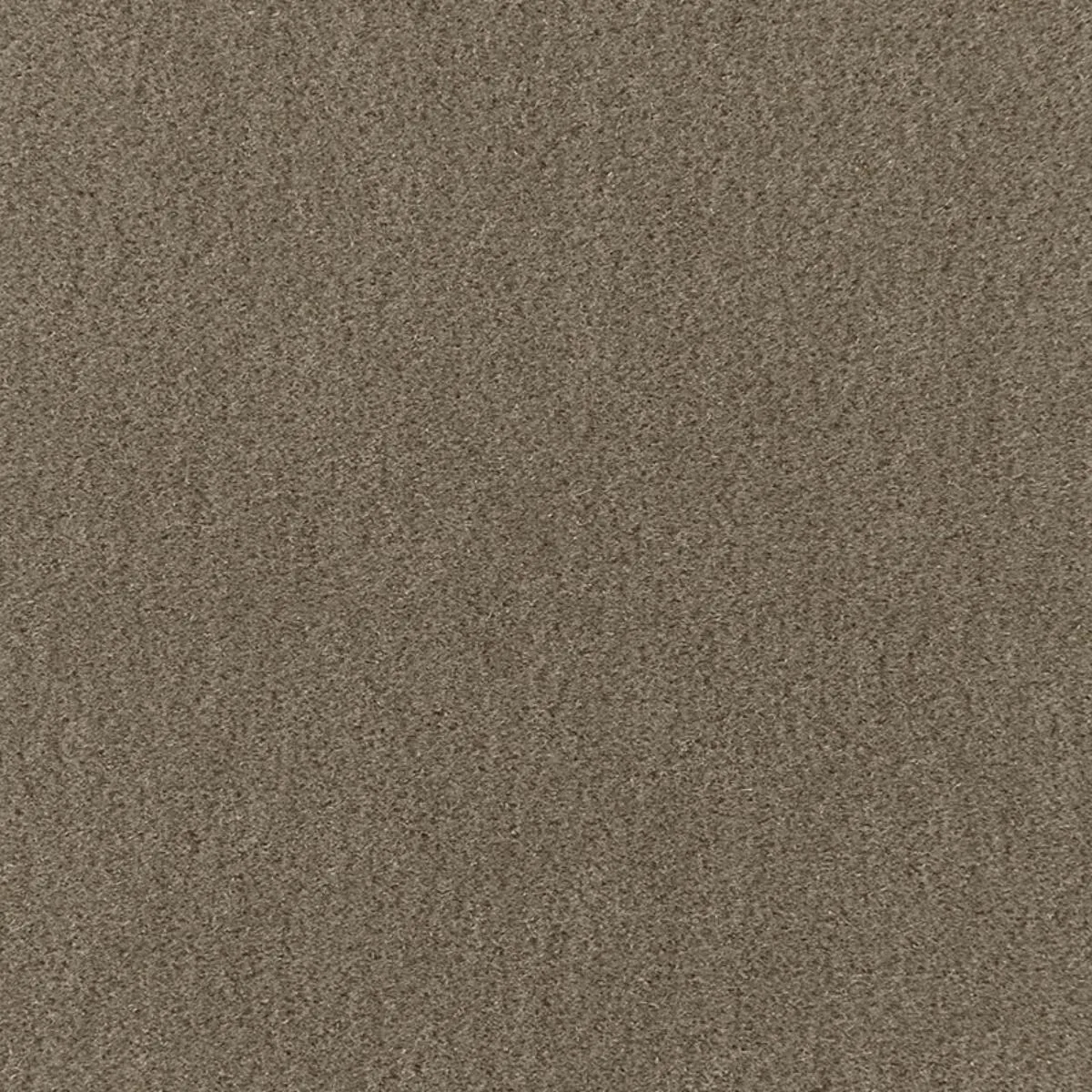Schumacher 64930 Palermo Mohair Velvet Thyme fabric swatch