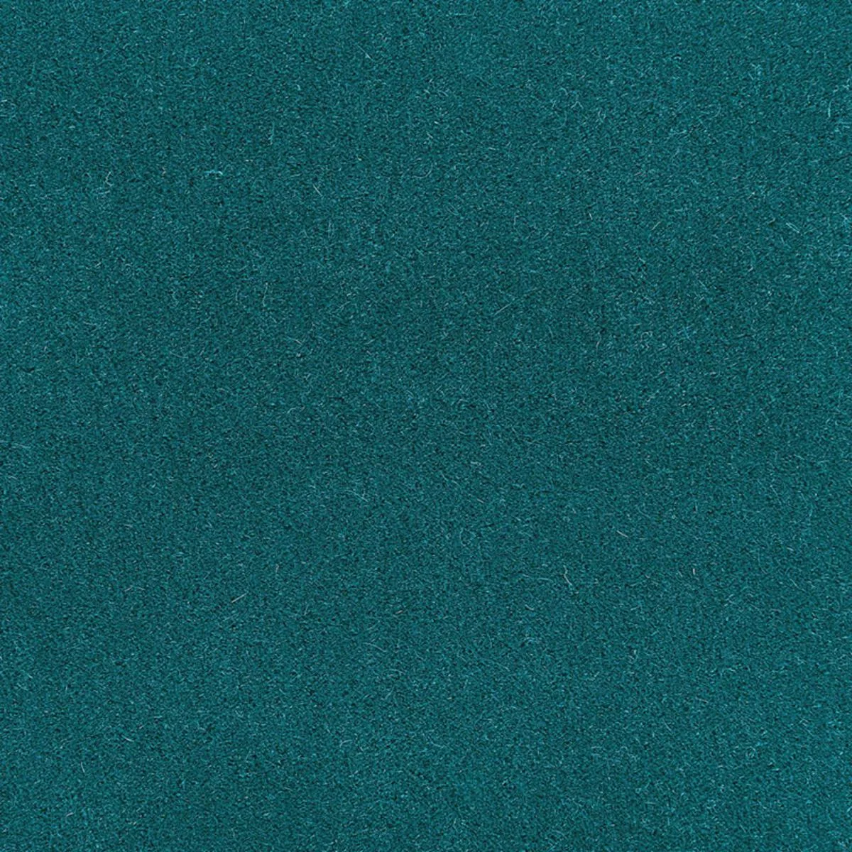 Schumacher 64924 Palermo Mohair Velvet Turquoise fabric swatch