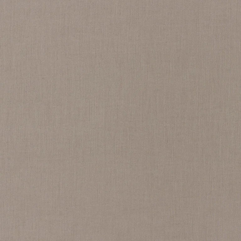 Schumacher 70932 Palermo Sheer Indoor/Outdoor Driftwood fabric swatch