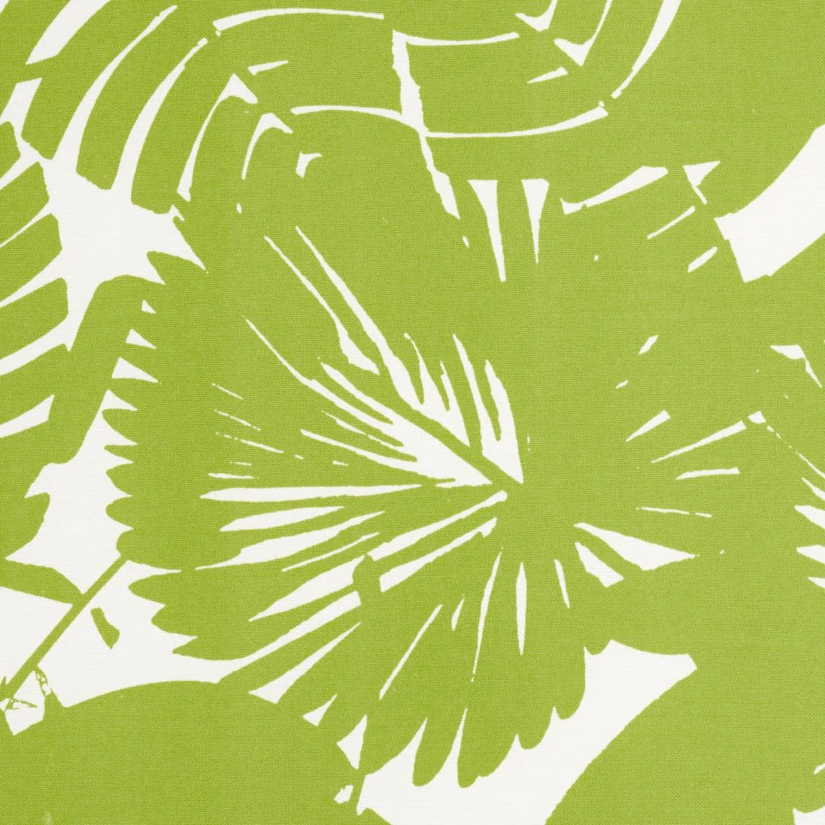 Schumacher 181071 Palisades Palm Indoor/Outdoor Fern fabric swatch