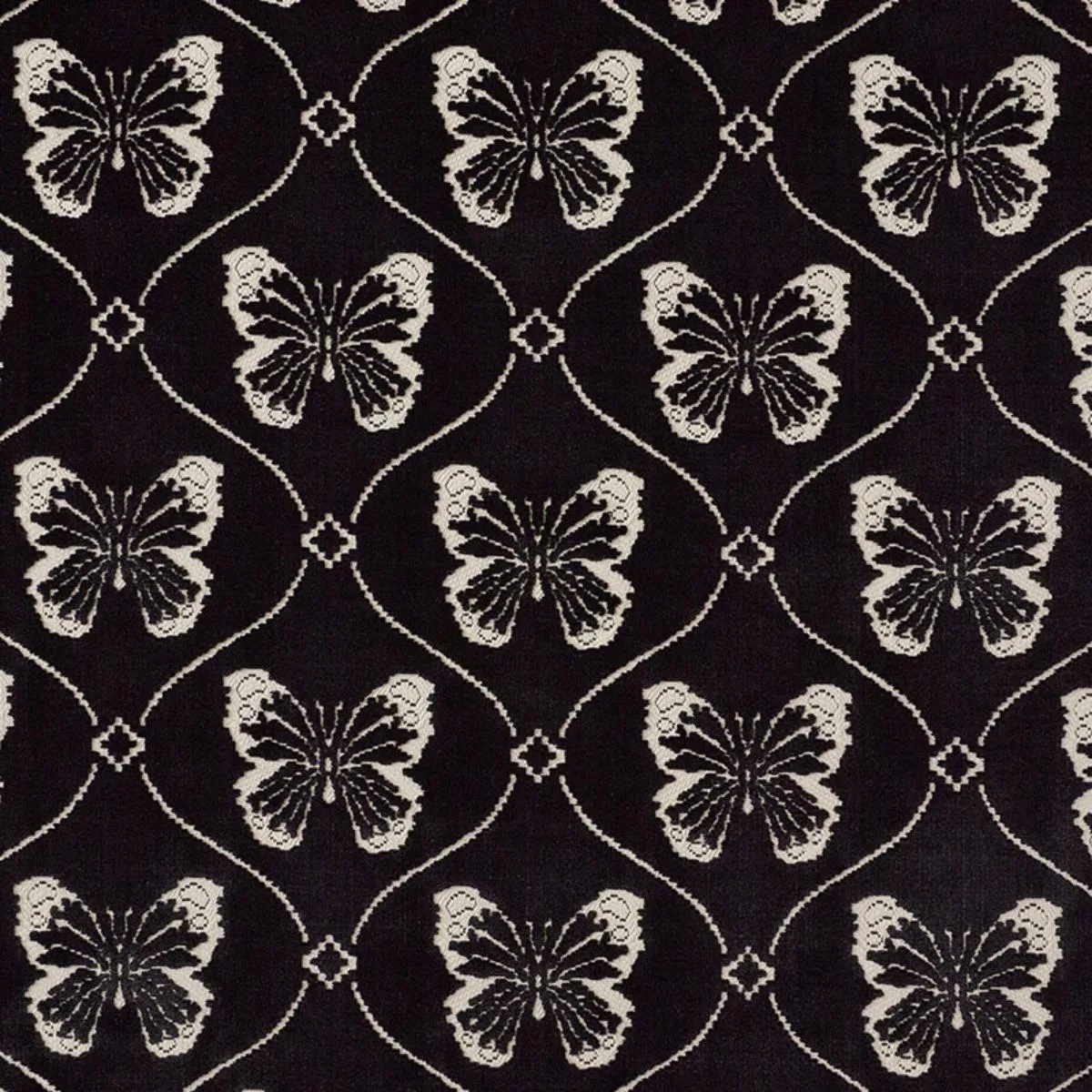 Schumacher 72960 Papillon Velvet Onyx fabric swatch