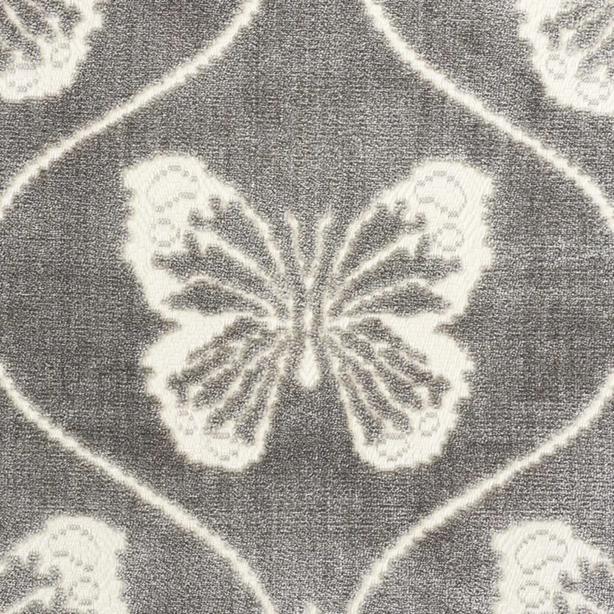 Schumacher 72961 Papillon Velvet Pewter fabric swatch