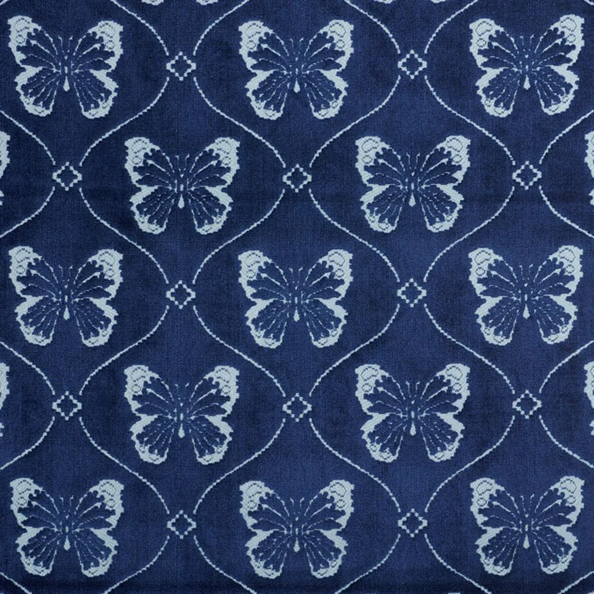 Schumacher 72962 Papillon Velvet Sapphire fabric swatch
