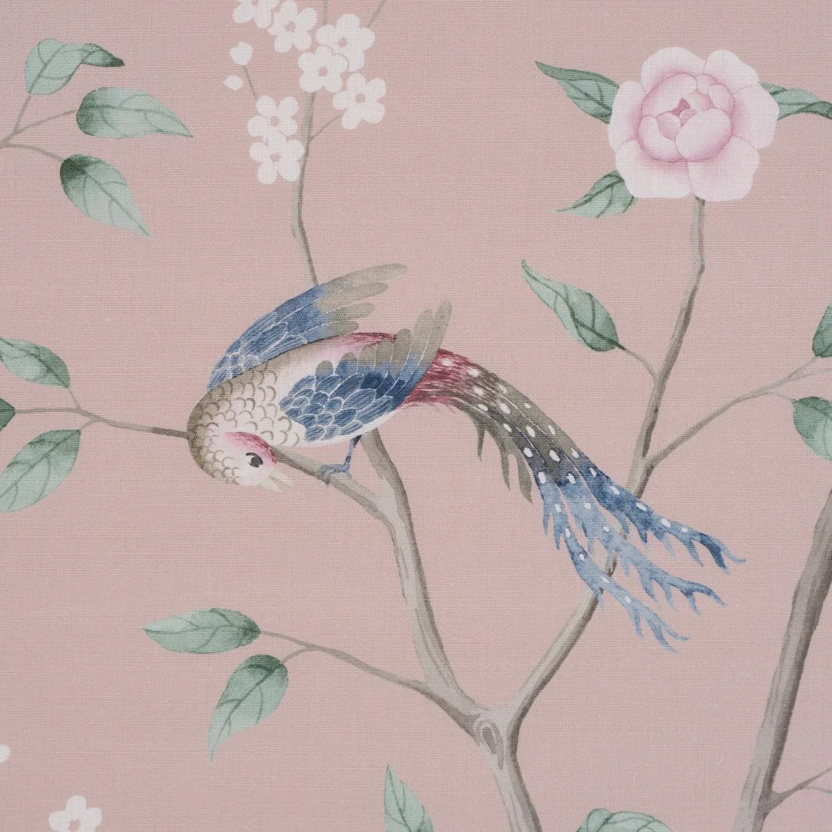 Schumacher 183031 Paradise Birds Blush fabric swatch
