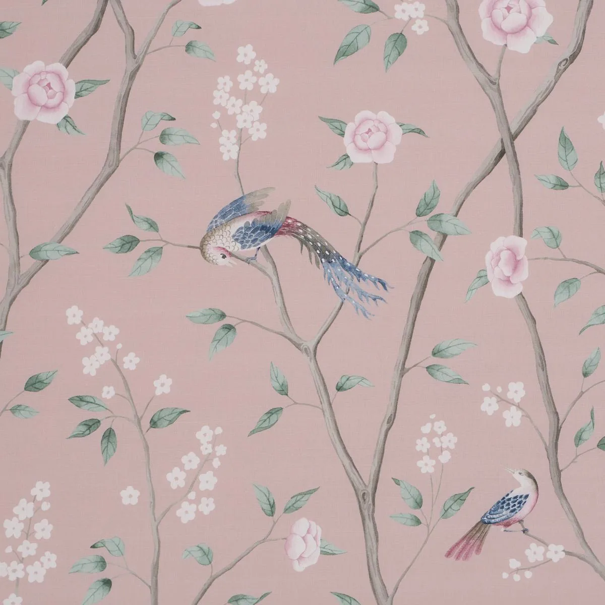Schumacher 183031 Paradise Birds Blush fabric swatch