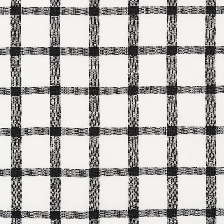 Schumacher 72070 Pauline Check Casement Blackwork fabric swatch
