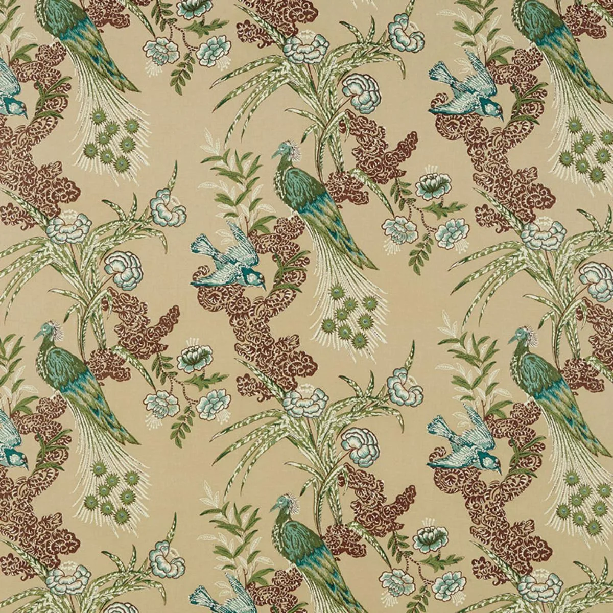 Schumacher 175914 Peacock Beige fabric swatch