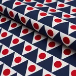 Schumacher 176642 Pennant Ii Indoor/Outdoor Navy & Red fabric swatch