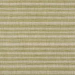 Schumacher 73362 Petra Stripe Grass fabric swatch