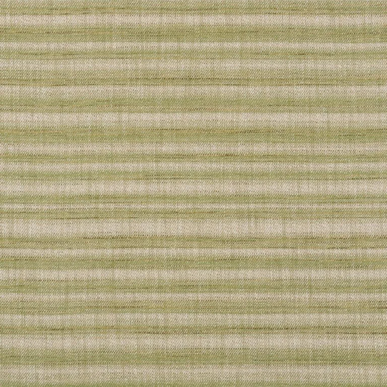 Schumacher 73362 Petra Stripe Grass fabric swatch