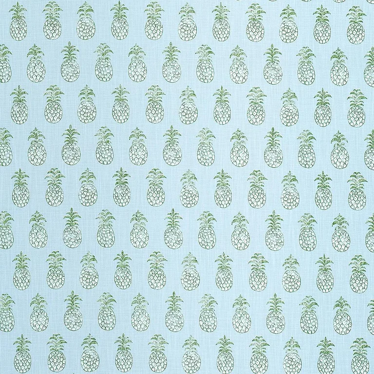 Schumacher 181020 PiñA Cove Indoor/Outdoor Aquamarine fabric swatch