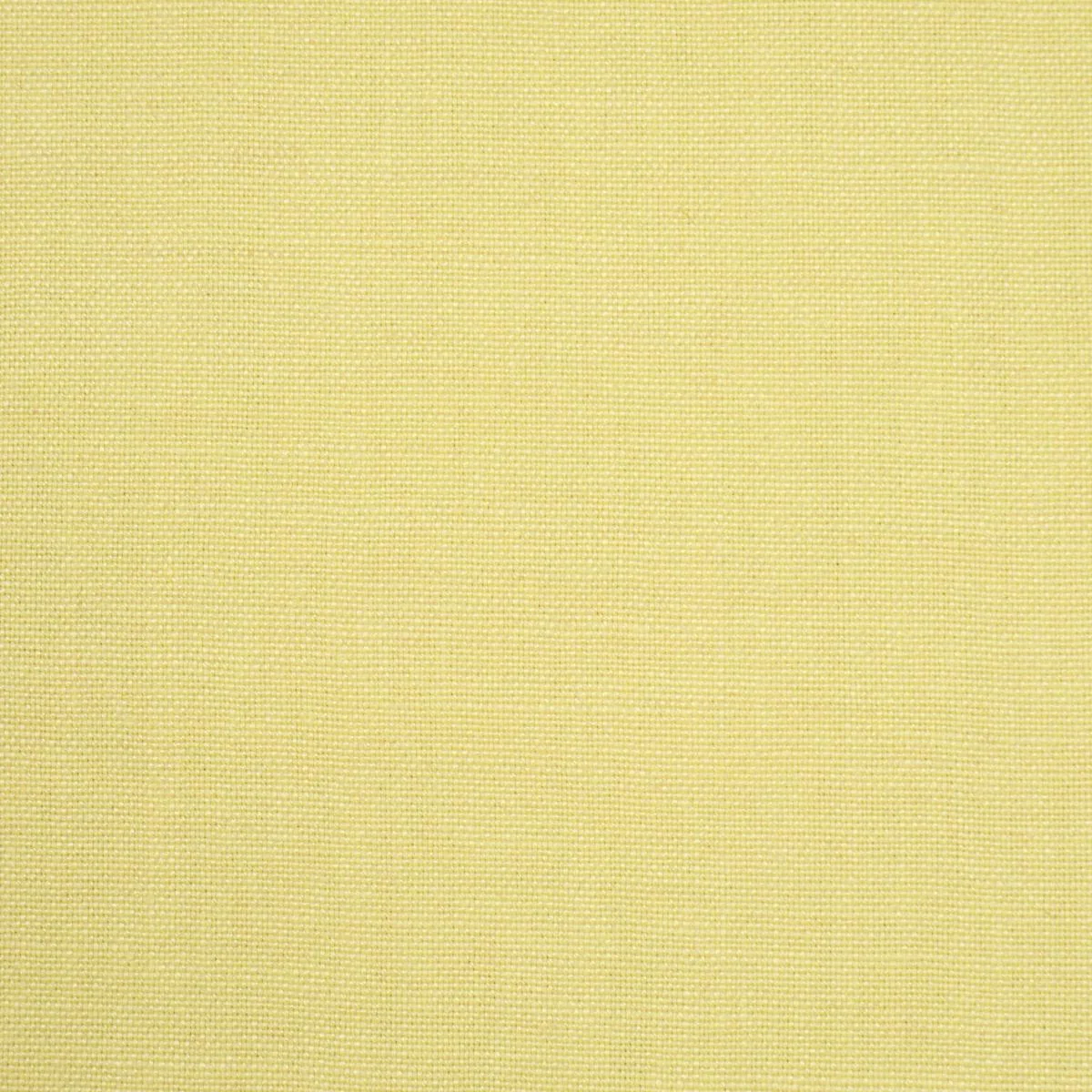 Schumacher 86462 Piet Performance Linen Citron Vert fabric swatch