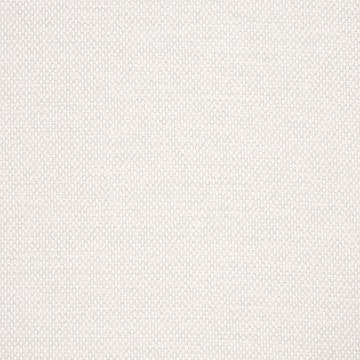 Schumacher 84171 Pippa Indoor/Outdoor Ivory fabric swatch