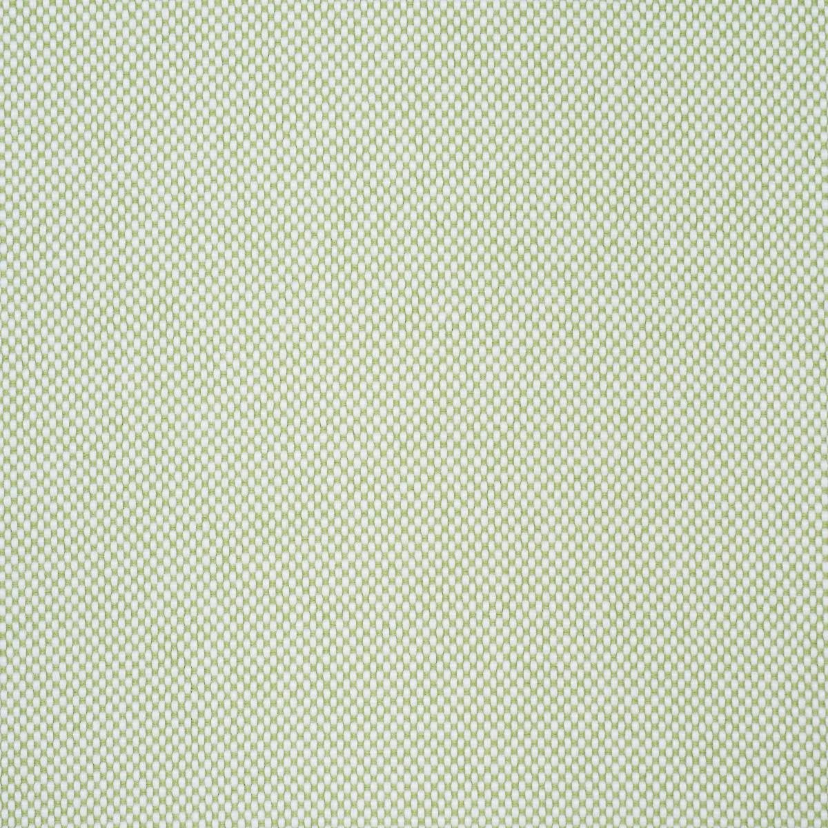 Schumacher 84173 Pippa Indoor/Outdoor Leaf fabric swatch