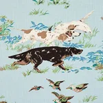 Schumacher 175161 Pointers Sky fabric swatch