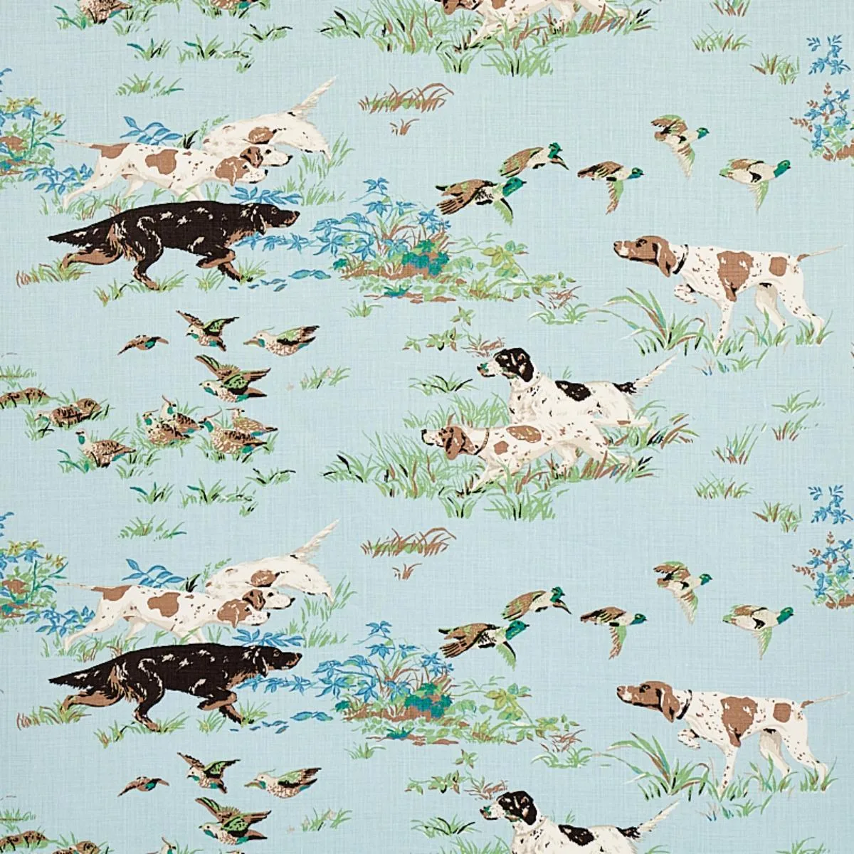 Schumacher 175161 Pointers Sky fabric swatch