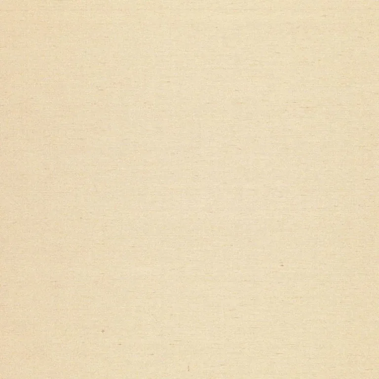 Schumacher 50440 Poiret Satin Platinum fabric swatch