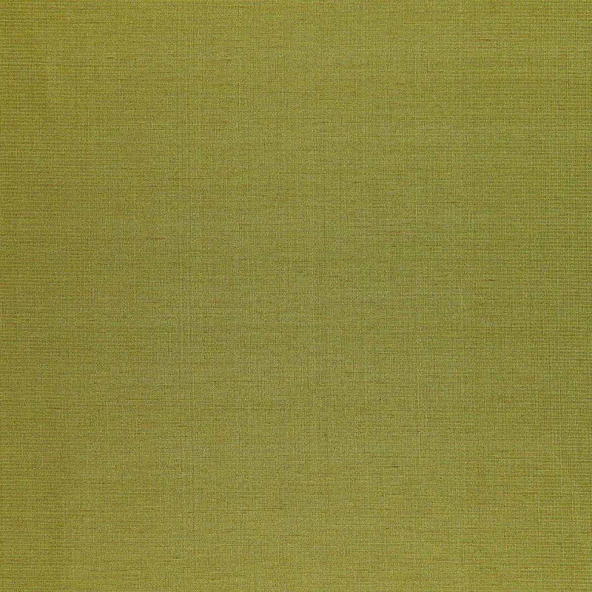 Schumacher 50446 Poiret Satin Vert fabric swatch