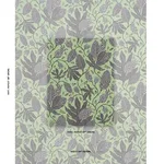 Schumacher 181651 Polka Dot Jungle Black & Green fabric swatch